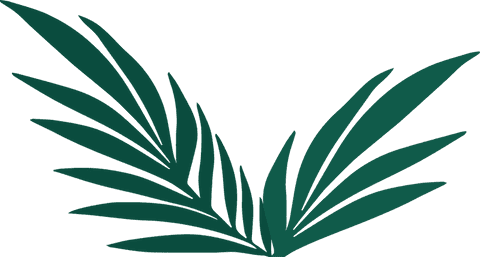 Stylized dark green palm fronds on transparent background