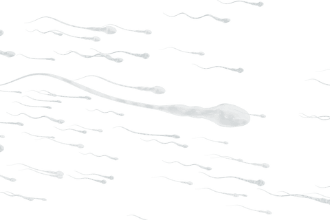 transparent human sperm movement display dynamic energy - Download Free Stock Videos Pikwizard.com