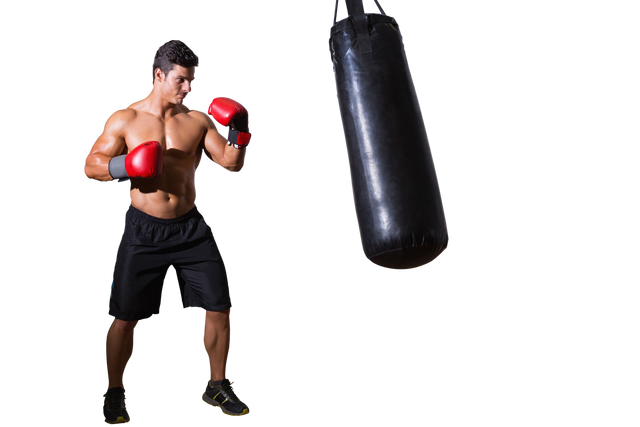 Caucasian Male Boxer Punching Punching Bag Isolated PNG on Transparent Background - Download Free Stock Videos Pikwizard.com