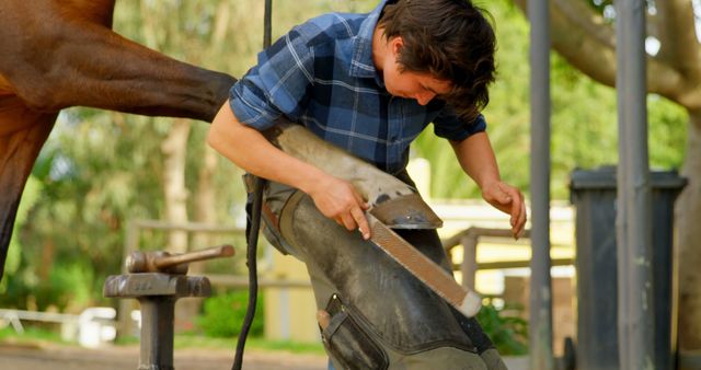 Farrier Trimming Horse Hoof Outdoors On Ranch - Download Free Stock Images Pikwizard.com