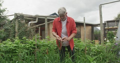 Senior Man Engaged in Gardening Outdoors in Rural Backyard Setting