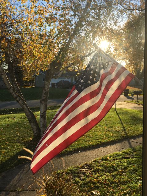 Perfect for illustrating themes of patriotism, national pride, and suburban life. This image captures an American flag waving in gentle sunlight, set against a background of autumnal trees and a quiet residential area. Suitable for use in blog posts, articles, social media, and educational materials about American culture, national holidays, and community.