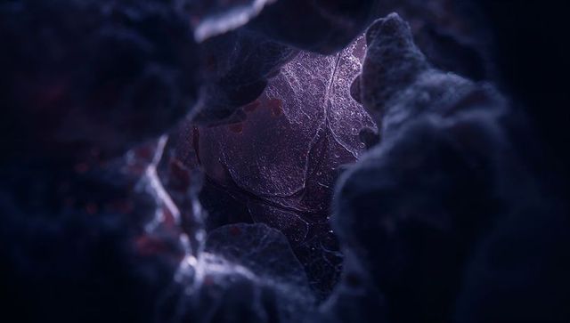 Organic Microscopic Tunnel with Fibrous Textures and Purple Droplets
