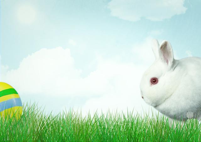 White rabbit with a colorful Easter egg on grass against a blue sky with clouds. Perfect for Easter-themed promotions, greeting cards, or holiday decorations. Captures the festive spirit of Easter and evokes a sense of joy and celebration. Ideal for use in digital marketing campaigns, website banners, or social media posts celebrating the Easter holiday.