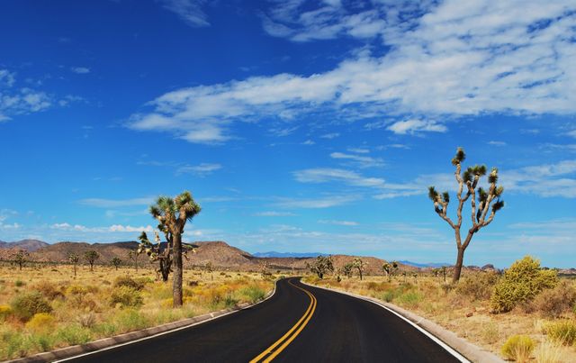 Empty road winding through desert landscape with Joshua trees against a vibrant blue sky. Ideal for travel and adventure themes, showcasing freedom and exploration on a sunny day. Perfect for promoting road trips, scenic drives, or desert tourism activities.