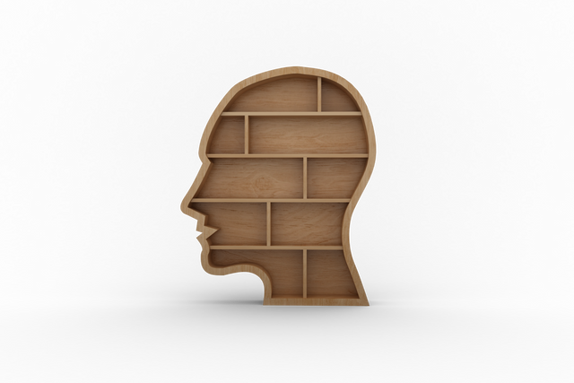 Transparent Human Head Shaped Bookcase with Empty Shelves - Download Free Stock Videos Pikwizard.com