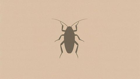Cockroach silhouette on clean beige background