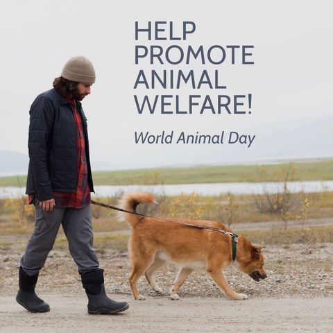 promoting animal welfare by walking dog on world animal day - Download Free Stock Templates Pikwizard.com