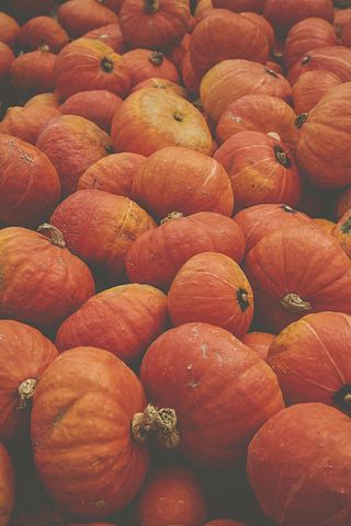 Autumn Pumpkins Piling in Rustic Market Display Seasonal Orange Gourds Texture