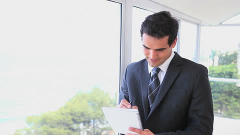 Businessman Noting Ideas by Window with Scenic View