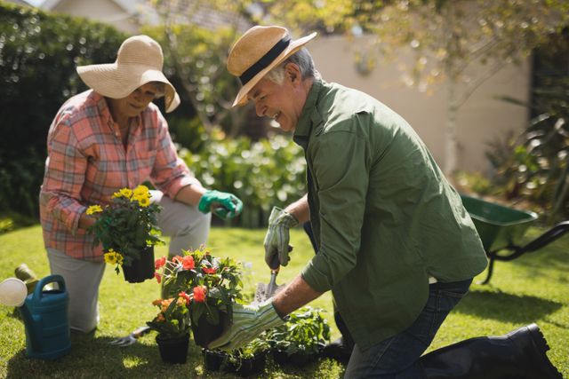 Senior couple enjoying gardening in their yard, planting flowers and nurturing plants. They are wearing sun hats and gloves, holding different potted plants. Ideal for illustrating outdoor activities, senior lifestyles, retirement hobbies, and the joy of nature.