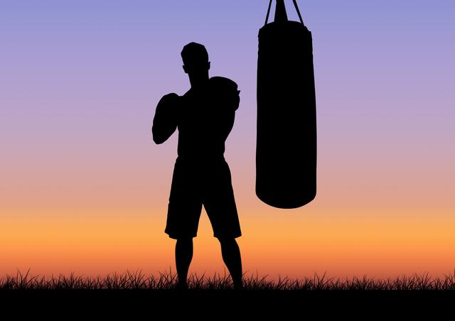 Digital composition of silhouette of boxer and punching bag against sunset in background