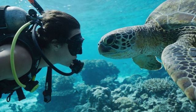 Female scuba diver observing green sea turtle over sunlit coral reef