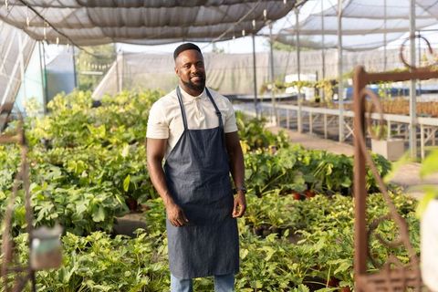 African american nursery owner standing in shaded greenhouse wearing denim apron