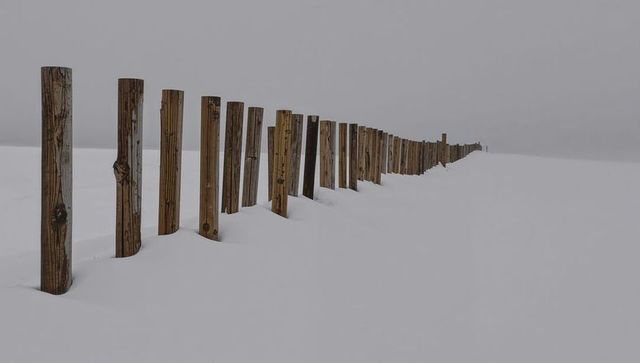 Weathered wooden posts leading diagonally across snowy plain, misty minimalist landscape