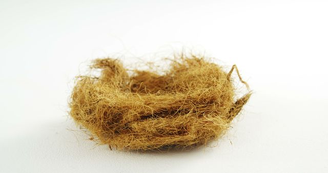 Empty Bird Nest Made of Natural Fibers on White Background - Download Free Stock Images Pikwizard.com