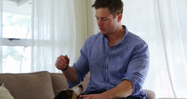 Young Man Training Dog at Home in Living Room - Download Free Stock Images Pikwizard.com