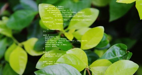 Digital Code Integrated with Nature Among Green Leaves