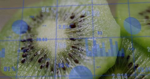 Kiwi slice with data overlay representing innovation and technology
