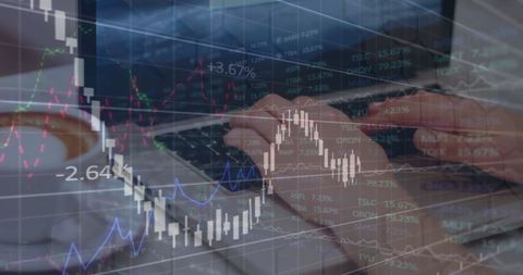 Female Professional Analyzing Financial Data on Laptop - Download Free Stock Images Pikwizard.com