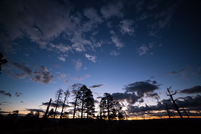 Silhouetted trees stand against a stunningly lit sky at twilight, creating a tranquil and picturesque scene. Perfect for use in nature blogs, landscape photography collections, digital wallpapers, or tranquil prints for home decor.