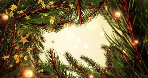 Festive Christmas Fir Branches with Golden Stars - Download Free Stock Images Pikwizard.com