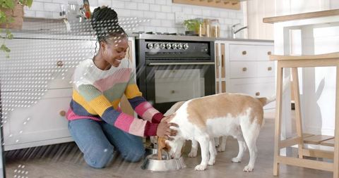 Smiling woman kneeling petting tan white dog in sunlit farmhouse kitchen, cozy companion moment