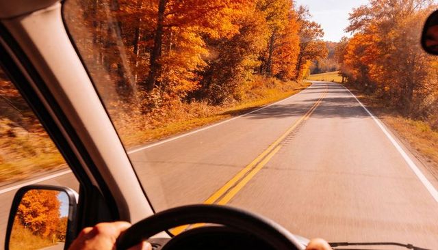 Driving through autumn foliage on winding country road from driver perspective