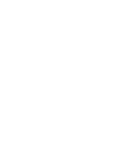 Intricate Network of Geometric Lines on Transparent Background - Download Free Stock Videos Pikwizard.com