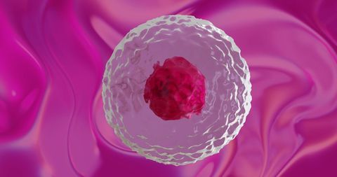 Microscopic View of Red Cell on Vibrant Pink Background