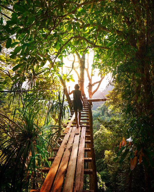 A woman is walking on a wooden bridge connecting treehouses in a lush tropical forest during sunset. The rich greenery and the golden sunlight create a peaceful yet adventurous atmosphere. This image can be used for travel blogs, advertisements for nature retreats, adventure tourism campaigns, or eco-friendly lifestyle promotions.