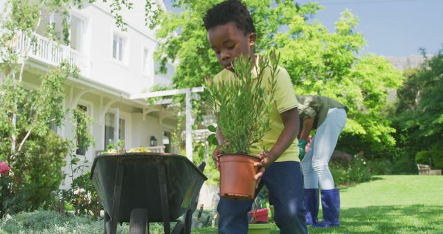 Young Boy Planting in Garden with Parent on Sunny Day - Download Free Stock Images Pikwizard.com