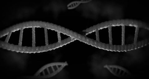 spinning 3d dna strands in dark background - Download Free Stock Images Pikwizard.com