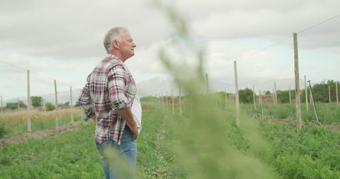 Elderly Farmer Assessing Lush Farmland Productivity