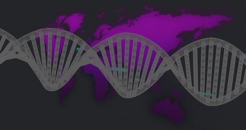 Dna strand over purple world map highlighting global genetics