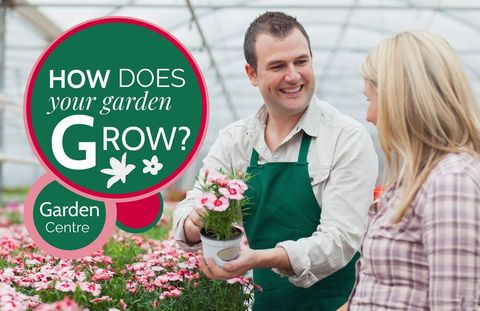 cheerful florist showing fresh flowers in greenhouse - Download Free Stock Templates Pikwizard.com