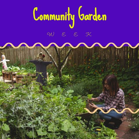 celebrating community garden week with enthusiastic gardening - Download Free Stock Templates Pikwizard.com