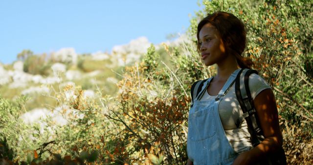 Young Woman Hiking Through Sunny Wilderness - Download Free Stock Images Pikwizard.com