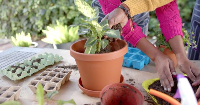 African american couple planting plants in garden - Download Free Stock Photos Pikwizard.com