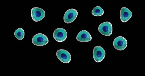 Abstract Digital Cells on Black Background - Download Free Stock Images Pikwizard.com