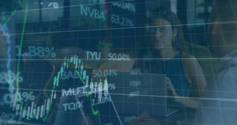 Financial Data Visualization with Business Professionals