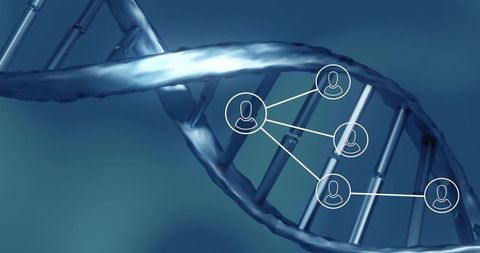 Digital interface connecting user profiles with dna strand symbolism