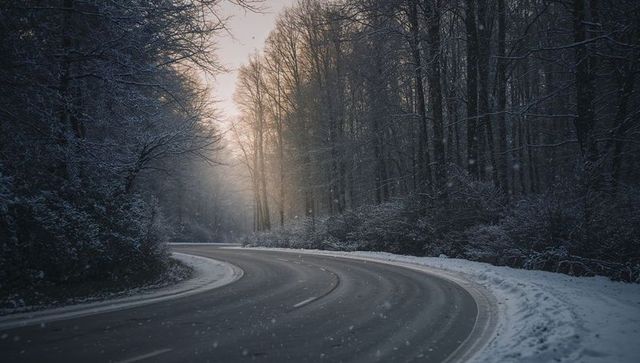 Winding Snow-Covered Road Curving Through Quiet Winter Forest with Soft Morning Light