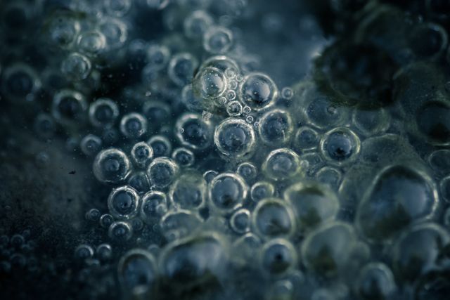 Close up view of liquid bubble textured background. Background with abstract texture and design concept