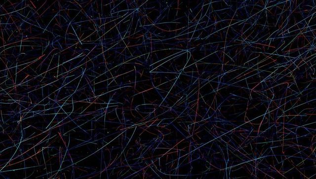 Vibrant neon lines creating dynamic abstract art