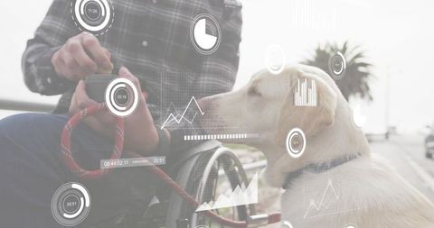 Man in wheelchair feeding labrador, holding red leash and jar on coastal promenade sharing companion