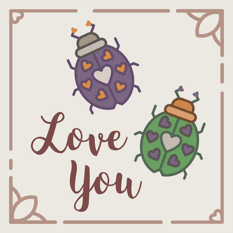 playful love message with colorful bugs on transparent background - Download Free Stock Videos Pikwizard.com