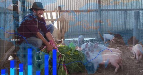Farmer feeding piglets with leafy greens in rustic barn with agritech data overlay