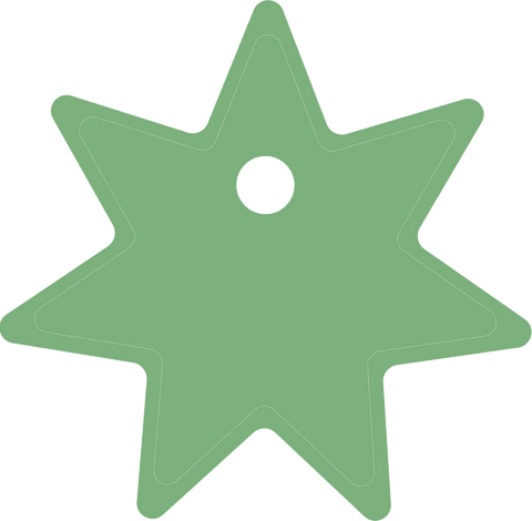 Green Star-Shaped Transparent Label for Celebrations - Download Free Stock Videos Pikwizard.com