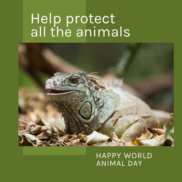 Composition of help protect all the animals happy world animal day text over lizard. World animal day and celebration concept digitally generated image.